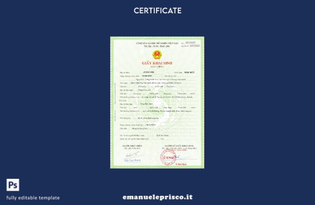 modello di certificato di nascita del Vietnam in stile verificato nel modello in